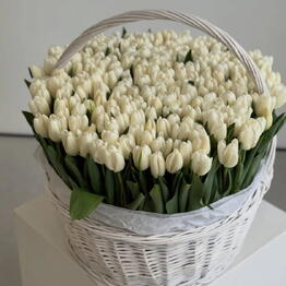 Hey, Flower!