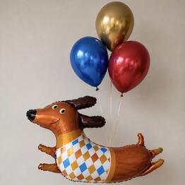 BALLOON STORY