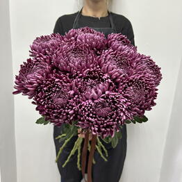 O’Fleurs
