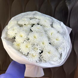 OCR FLOWERS