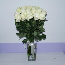 Alive Flowers