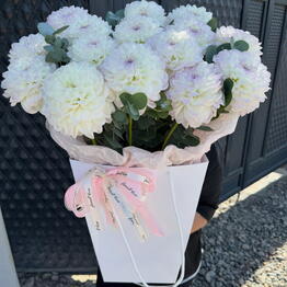 SOFE Flowers