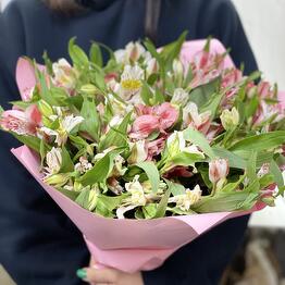 FloWers24