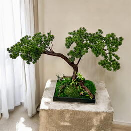  MossLaB