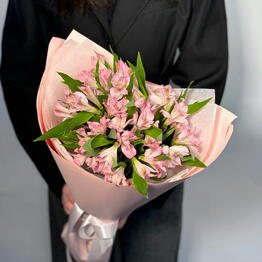 Gentle Flowers Zvezda