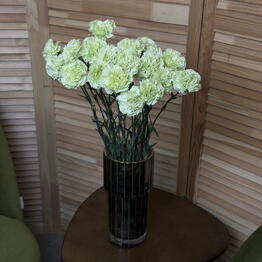 FlorDvor