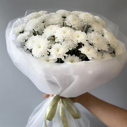 Ahs Flowers
