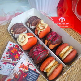 Choko fox spb 