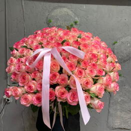 dassy flowers
