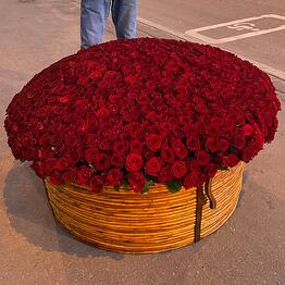 bigflowers на Цветном бульваре 