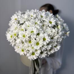 Cvetochniy BOOM