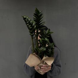 Botanee by