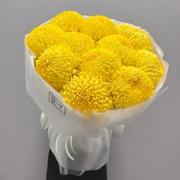 Boom Bouquet