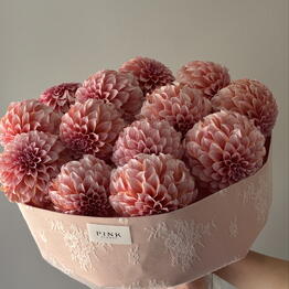 PINK FLOWER