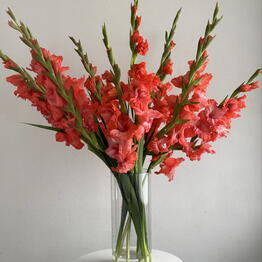 FLOWERSJOY 
