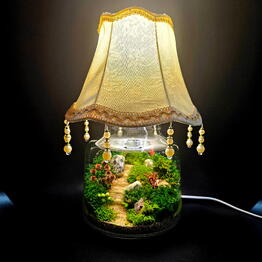 Студия фитодизайна "Micro Garden"