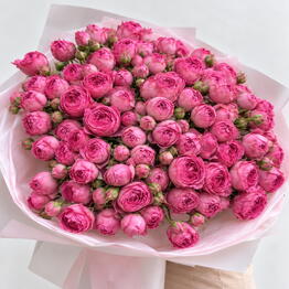 Why Not Flowers
