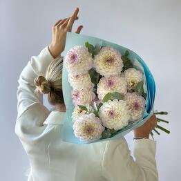 White Rose studio