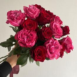 Pro Flowers