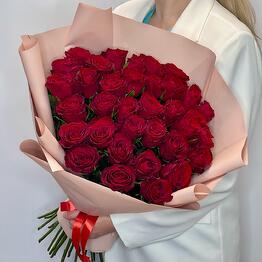 Flora - Feya cvetov