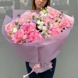 Tulpan flowers