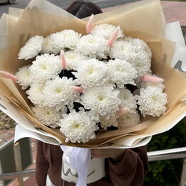 Flower_of_life_kanash