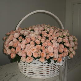 KARPOVICH FLOWERS