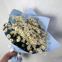 Ирис Blumen