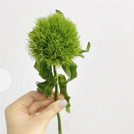 OK Flowers