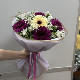 Daisy