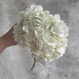 A. Flowers