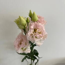 TIFFANY FLOWERS