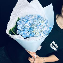 Aroma_Flowers