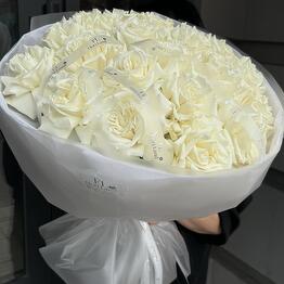 Fiori Land