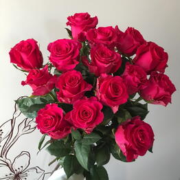 Вишня Зацвела