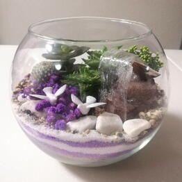 Florariumy «Neva»