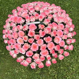 Flowers Moskow