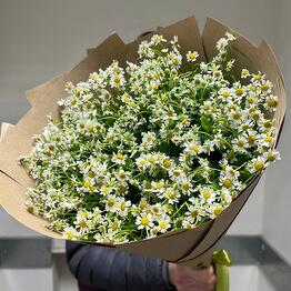 Flowers for you