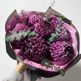 Amsterdam flowers