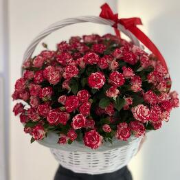 Luova Floral