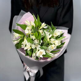 Gentle Flowers Lessner
