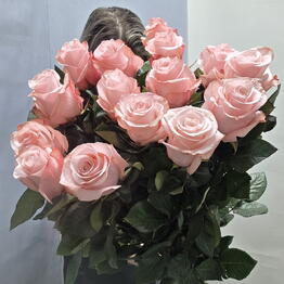 Beautiful Flowers na Mozhayskom shosse