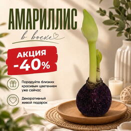 AmaryLove