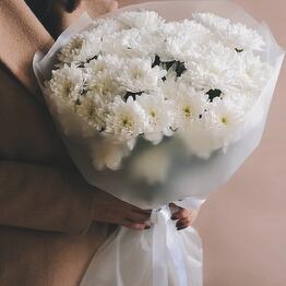 Romashka flowers