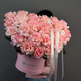 Versal’ flowers
