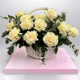 Buketberu