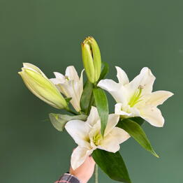 BOUQUET