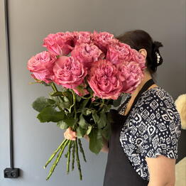 Sofia Flowers