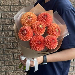 Amur Flowers