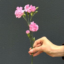 flowers by neplach.coffee Tekstilshchiki